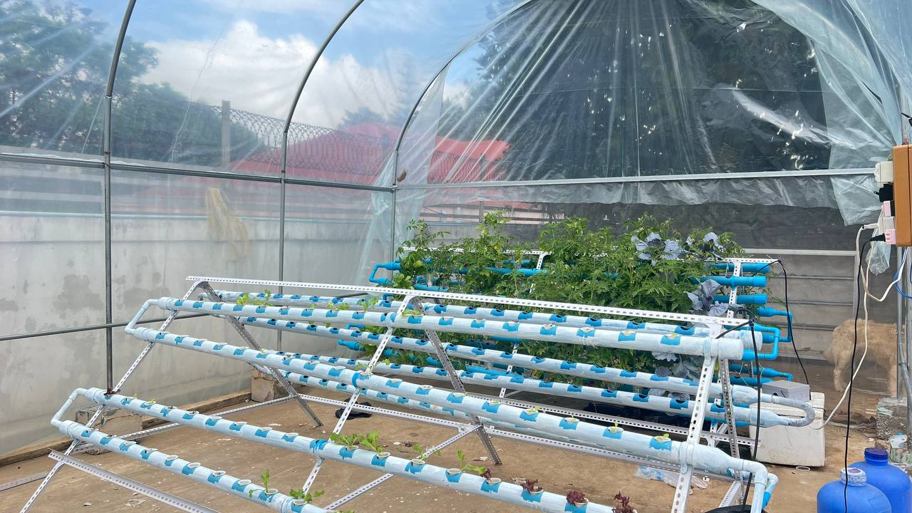 Hydroponic Grow House