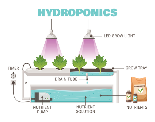 What is Hydroponic